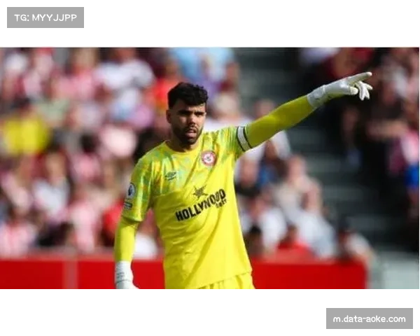 布伦特福德门将拉亚高接低挡 客场防守效率显著提升